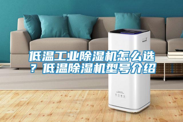 低溫工業(yè)除濕機怎么選？低溫除濕機型號介紹