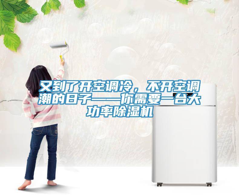 又到了開空調冷，不開空調潮的日子——你需要一臺大功率除濕機