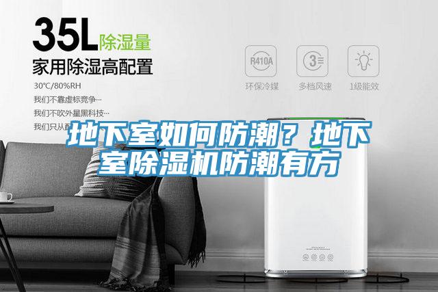 地下室如何防潮？地下室除濕機(jī)防潮有方
