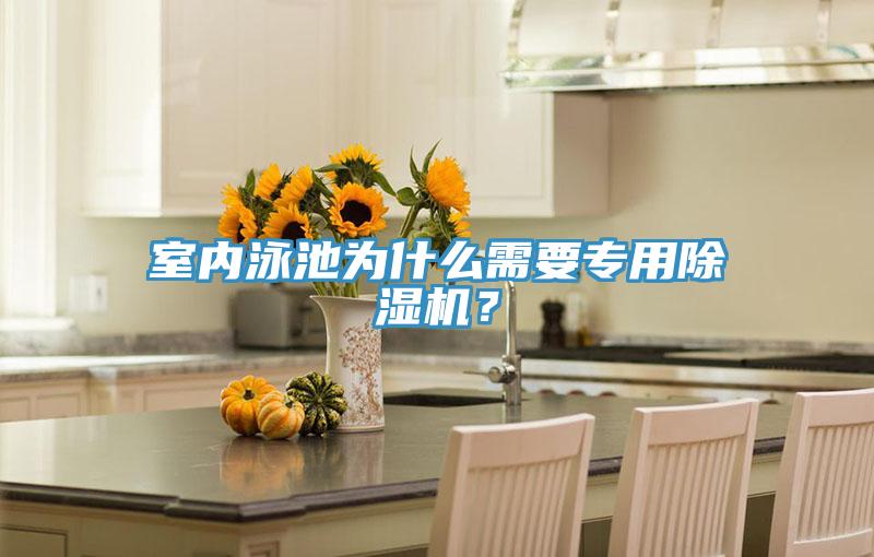 室內(nèi)泳池為什么需要專用除濕機？