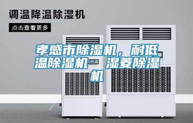 孝感市除濕機，耐低溫除濕機  濕菱除濕機