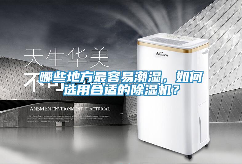 哪些地方最容易潮濕，如何選用合適的除濕機(jī)？