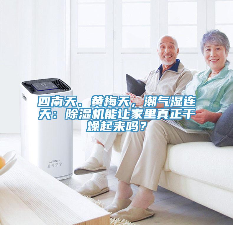回南天、黃梅天，潮氣濕連天：除濕機(jī)能讓家里真正干燥起來(lái)嗎？