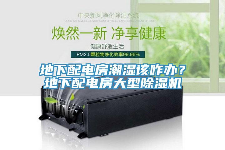 地下配電房潮濕該咋辦？地下配電房大型除濕機(jī)