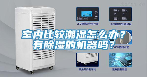 室內(nèi)比較潮濕怎么辦？有除濕的機器嗎？