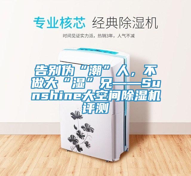 告別偽“潮”人，不做大“濕”兄——Sunshine大空間除濕機(jī)評測