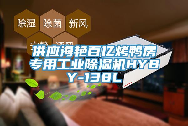 供應(yīng)海艷百億烤鴨房專(zhuān)用工業(yè)除濕機(jī)HYBY-138L