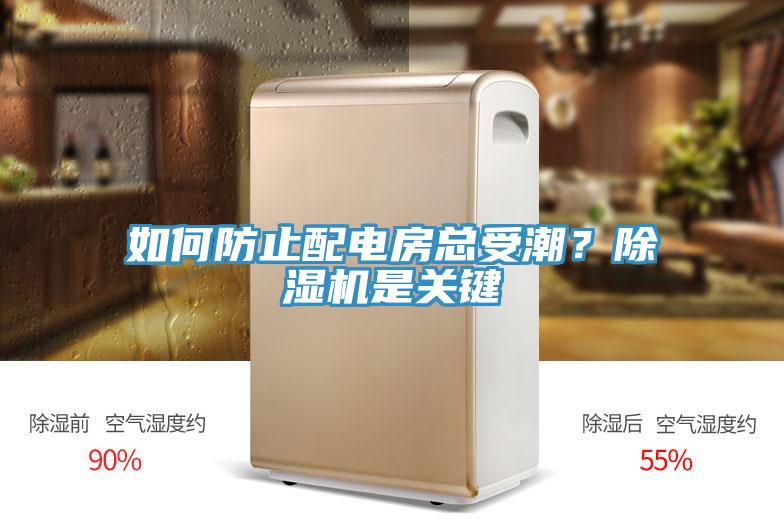如何防止配電房總受潮？除濕機是關鍵