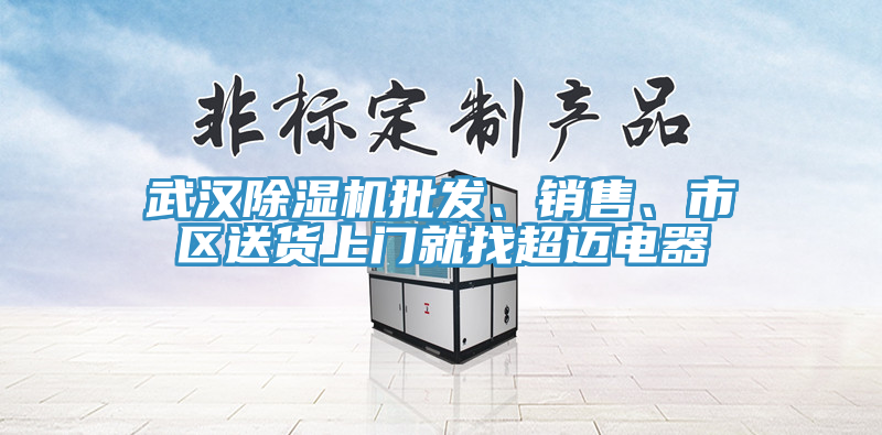 武漢除濕機(jī)批發(fā)、銷售、市區(qū)送貨上門就找超邁電器