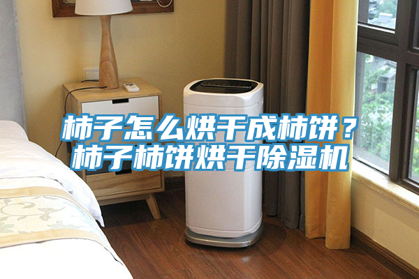 柿子怎么烘干成柿餅？柿子柿餅烘干除濕機(jī)