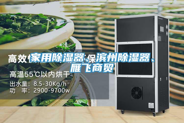 家用除濕器、濱州除濕器、雁飛商貿(mào)