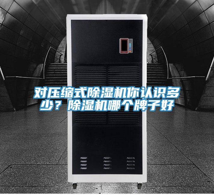 對(duì)壓縮式除濕機(jī)你認(rèn)識(shí)多少？除濕機(jī)哪個(gè)牌子好