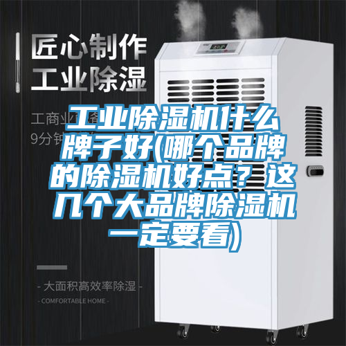 工業(yè)除濕機什么牌子好(哪個品牌的除濕機好點？這幾個大品牌除濕機一定要看)