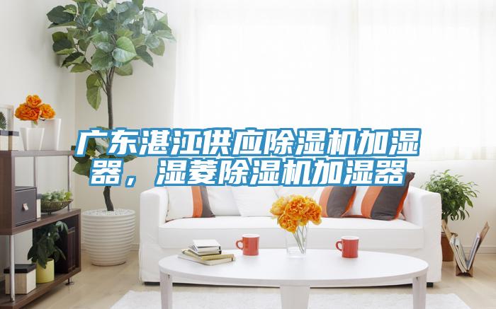 廣東湛江供應(yīng)除濕機加濕器，濕菱除濕機加濕器
