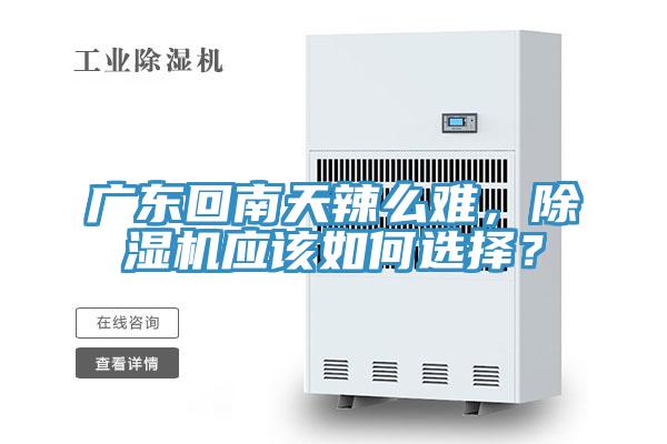 廣東回南天辣么難，除濕機(jī)應(yīng)該如何選擇？