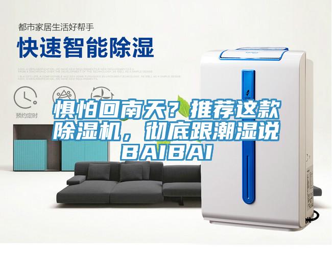 懼怕回南天？推薦這款除濕機，徹底跟潮濕說BAIBAI