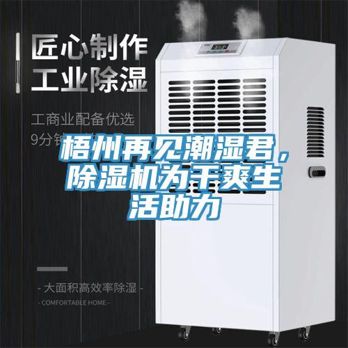 梧州再見潮濕君，除濕機(jī)為干爽生活助力