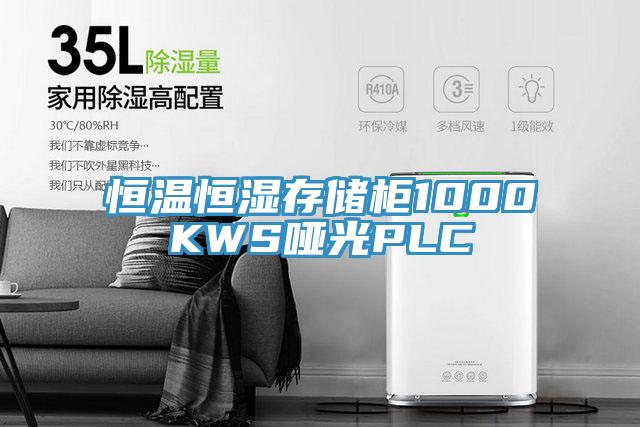 恒溫恒濕存儲柜1000KWS啞光PLC