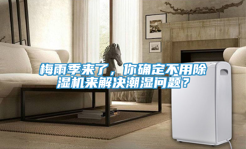梅雨季來了，你確定不用除濕機來解決潮濕問題？