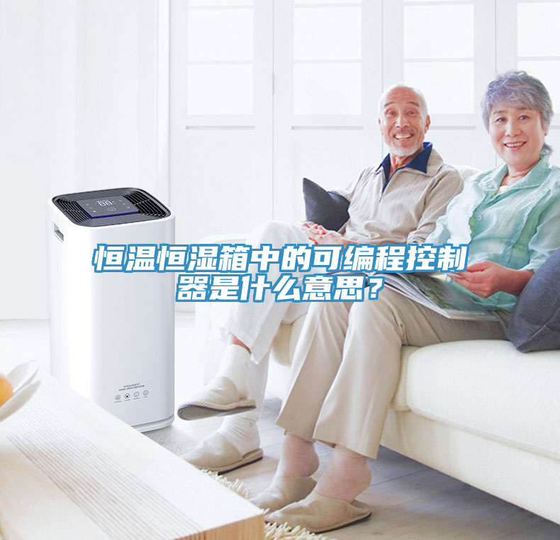 恒溫恒濕箱中的可編程控制器是什么意思？