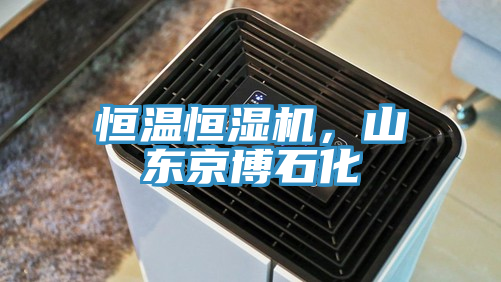 恒溫恒濕機(jī)，山東京博石化
