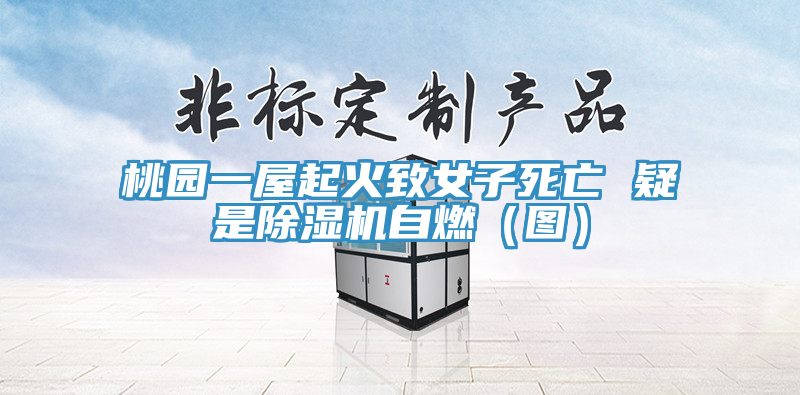 桃園一屋起火致女子死亡 疑是除濕機(jī)自燃（圖）