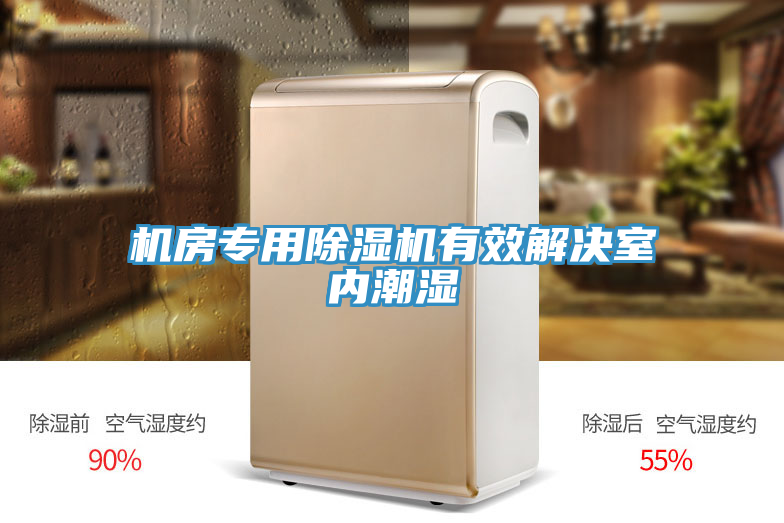 機房專用除濕機有效解決室內(nèi)潮濕