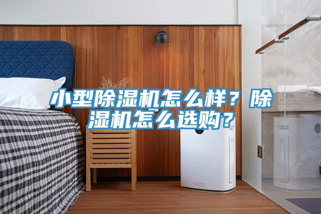 小型除濕機(jī)怎么樣？除濕機(jī)怎么選購(gòu)？