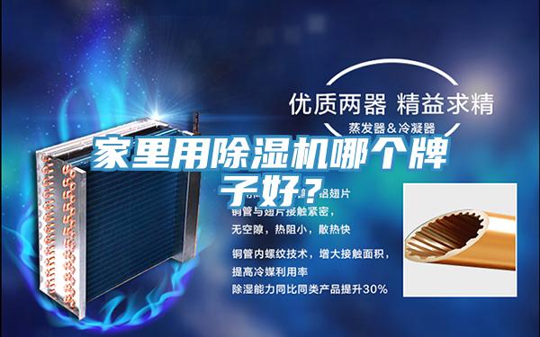 家里用除濕機哪個牌子好？