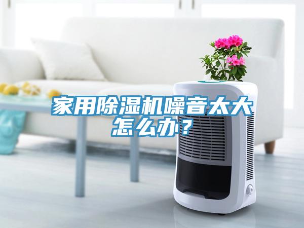 家用除濕機噪音太大怎么辦？