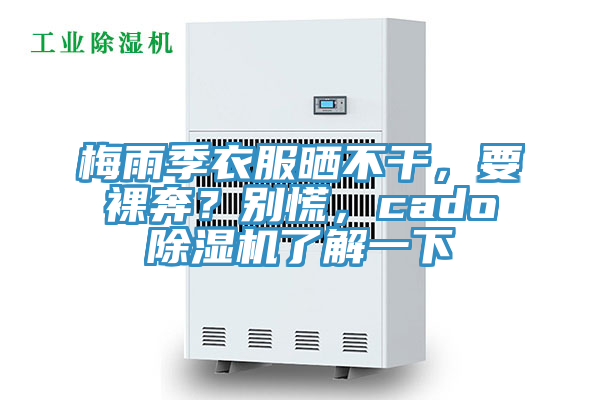 梅雨季衣服曬不干，要裸奔？別慌，cado除濕機了解一下