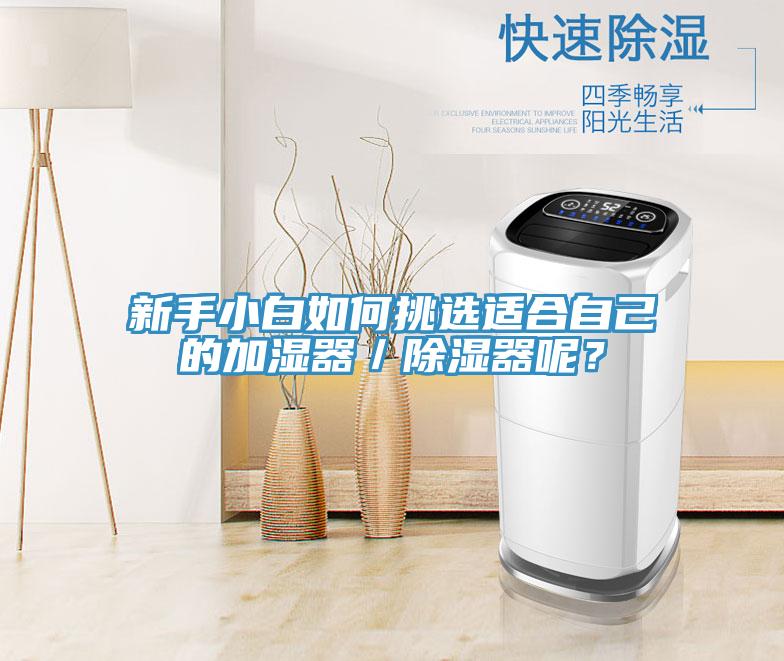 新手小白如何挑選適合自己的加濕器／除濕器呢？