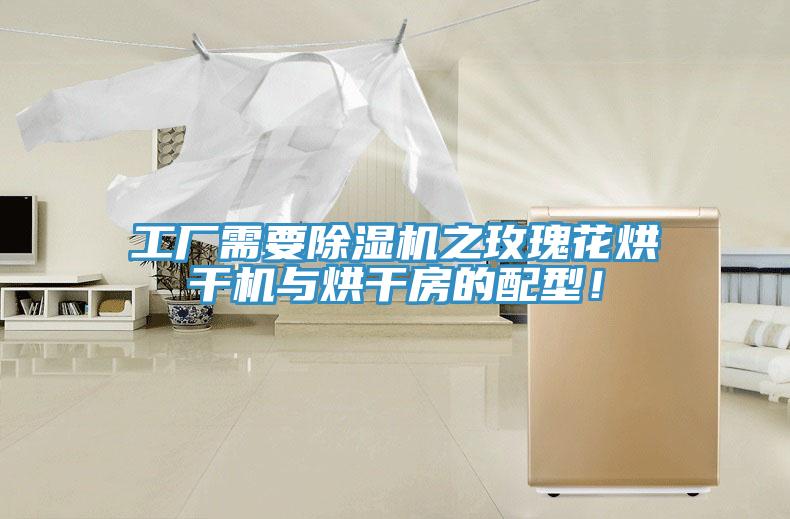 工廠需要除濕機之玫瑰花烘干機與烘干房的配型！