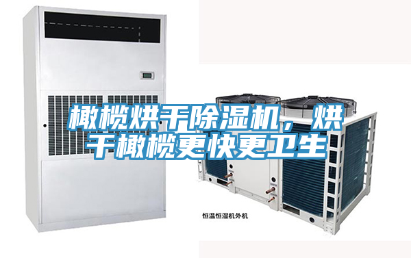橄欖烘干除濕機(jī)，烘干橄欖更快更衛(wèi)生