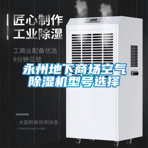 永州地下商場空氣除濕機(jī)型號選擇
