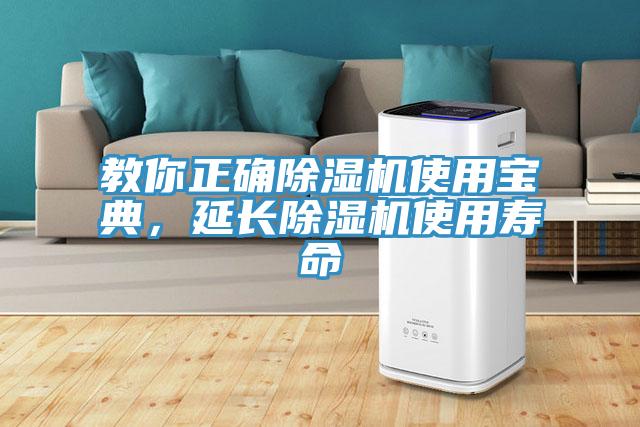 教你正確除濕機使用寶典，延長除濕機使用壽命