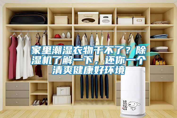家里潮濕衣物干不了？除濕機了解一下，還你一個清爽健康好環(huán)境