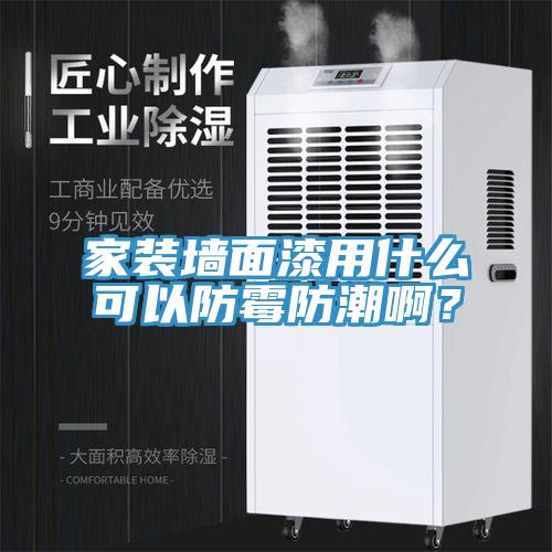 家裝墻面漆用什么可以防霉防潮啊？