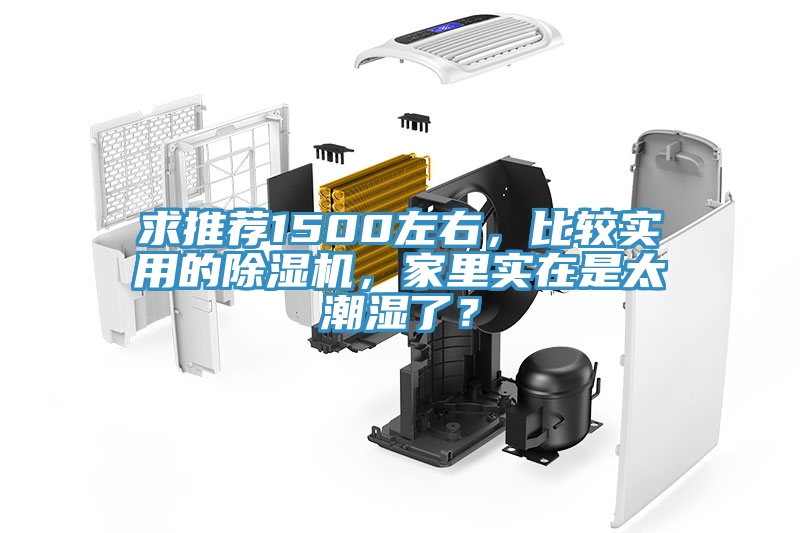 求推薦1500左右，比較實用的除濕機(jī)，家里實在是太潮濕了？