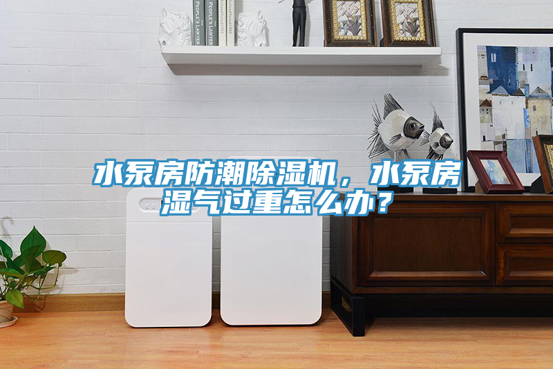 水泵房防潮除濕機(jī)，水泵房濕氣過重怎么辦？