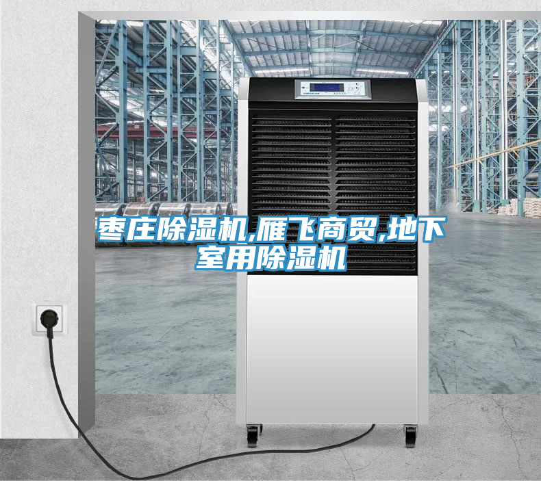 棗莊除濕機,雁飛商貿(mào),地下室用除濕機