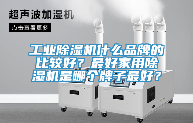 工業(yè)除濕機什么品牌的比較好？最好家用除濕機是哪個牌子最好？