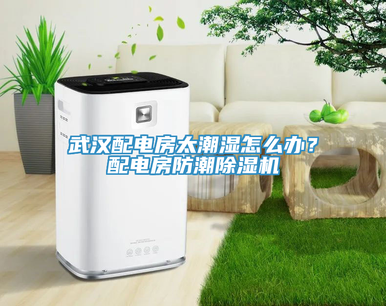 武漢配電房太潮濕怎么辦？配電房防潮除濕機(jī)