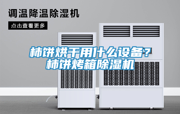 柿餅烘干用什么設(shè)備？柿餅烤箱除濕機(jī)