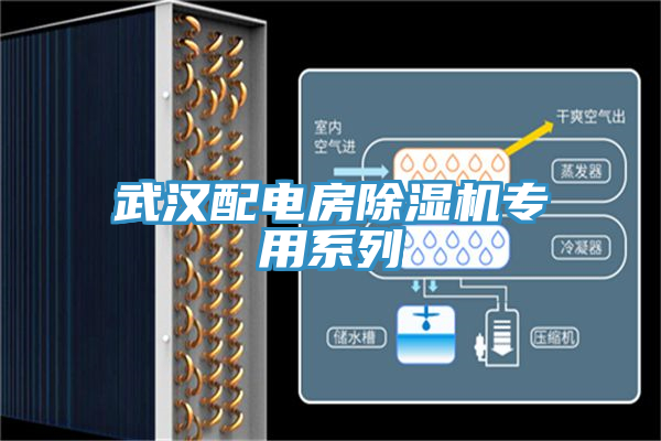 武漢配電房除濕機(jī)專(zhuān)用系列