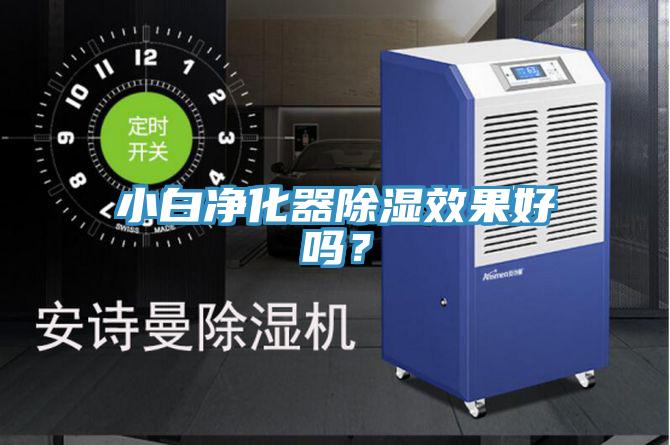 小白凈化器除濕效果好嗎？