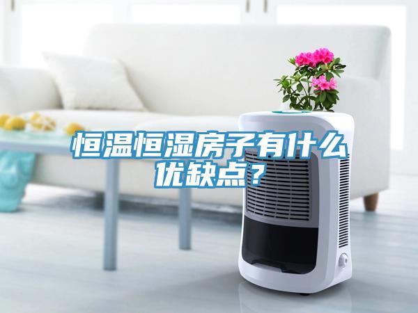 恒溫恒濕房子有什么優(yōu)缺點(diǎn)？