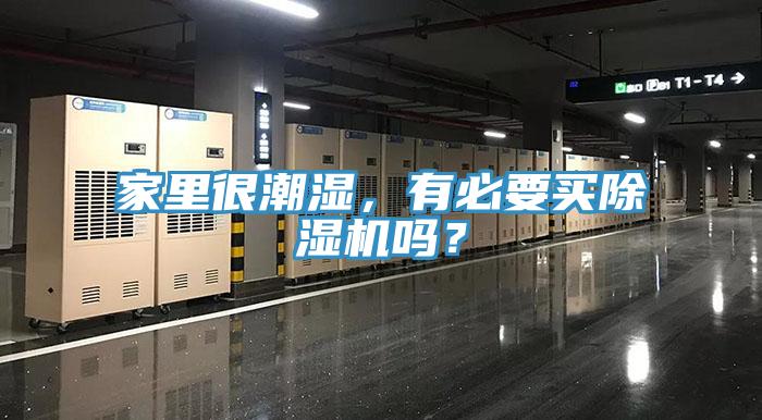 家里很潮濕，有必要買除濕機(jī)嗎？