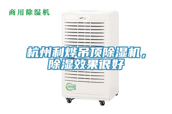 杭州利燁吊頂除濕機(jī)，除濕效果很好