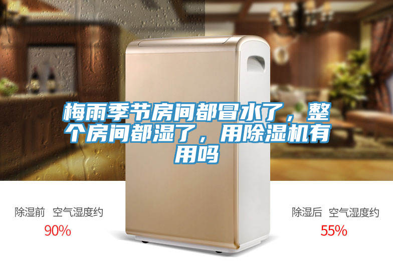 梅雨季節(jié)房間都冒水了，整個房間都濕了，用除濕機有用嗎